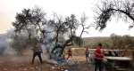 Palestinian volunteers douse an olive tree set on fire by Israeli settlers, near the village of Turmus Ayya, north of Ramallah, in the Israeli-occupied West Bank on October 16, 2026. -  Ahmad Gharabli, AFP