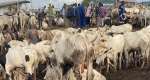 PAC urges Greater Accra Regional Minister to shut down livestock market at Kanda