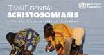 The Hidden Threat: Why Ghana Must Pay More Attention to Female Genital Schistosomiasis