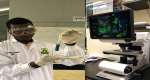 Guava Leaves Show Promise In Prostate Cancer Research