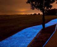 Surviving The Dark Season: What Must Good People Do When Bad Things Happen?