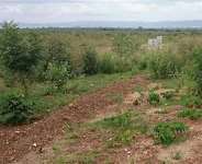The Importance Of Registering Encumbrances On Land.