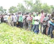 Salvaging the plight of farmers affected with floods through the Kirkhouse Trust SCIO Project of CSIR-SARI