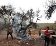 Palestinian volunteers douse an olive tree set on fire by Israeli settlers, near the village of Turmus Ayya, north of Ramallah, in the Israeli-occupied West Bank on October 16, 2026. - Ahmad Gharabli, AFP