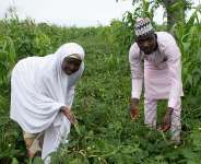 World Food Day: Revisiting the GMO conversation