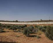 A file image of a Palestinian man in an olive tree field during the harvest season, near the controversial Israeli separation wall, in the village of Beit Awwa, west of Hebron City in the Israeli-occupied West Bank on October 15, 2026. - Hazem Bader, AFP