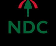 The NDC Footsoldiers