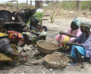 Women shelling oysters in the Gambia