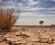 Climate Change: The perspective of energy policy analyst
