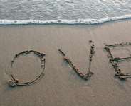 Love Can Capture Money But Money Cannot Capture Love
