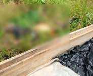Ketu South: Decomposed body of 36-year-old man with heart missing found in bush at Nogokpo
