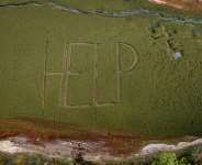 The word HELP has appeared on the dry lake bed. - Fabrice COFFRINI / AFP