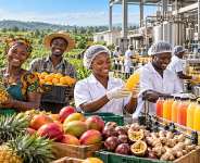 Removal of 20% Excise Duty Offers Lifeline to Ghana’s Fruit Juice Industry