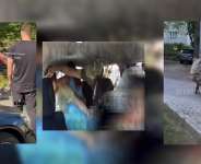 Men forcibly taken away to be drafted into the Ukrainian army in Kyiv, Odessa, and Lviv in 2026. -  Instagram, X