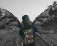 Poohder P