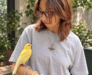 The Canary: From Habitat to Husbandry