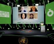 What purpose did the UN Food Systems Summit Serve if about 200,000 people have died of hunger since it ended?
