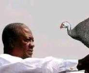Mahama with Akonfem