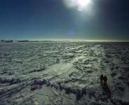 Even A Humanless Earth Wont Affect You