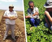 The black worker is a white man’s creation