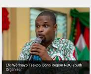 Efo Worlanyo TSEKPO