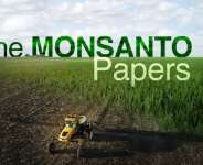 The Monsanto Papers, Glyphosate And GMOs, How Will Ghana Respond