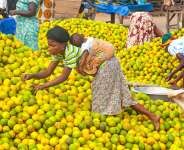 Ghana’s Market Landscape: Trends, Forces, and Opportunities Businesses Must Know in 2026