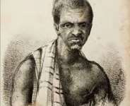 Kojo NDA And Adom Wars or Wars of Bees