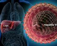 Human liver infected with Hepatitis-B