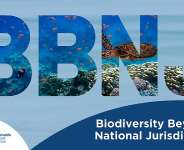 The BBNJ Treaty Negotiations: A Wave Of Western Imperialism Or Shared Economic Interest On The High Seas?