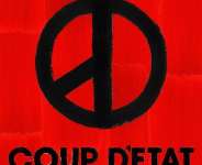 The coup enthusiasts solipsism, the irrational tribunal system, and human rights abuses: Despotism or democracy?