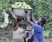 Sustainable Farming Fuels Healthier Communities