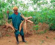 How Smart Agricultural Finance Can End Rural Poverty in Ghana