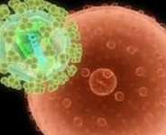 HIV/AIDS virus attacking the human cell