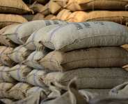 Navigating Child Labour in Ghanas Cocoa Supply Chain: A Multifaceted Exploration