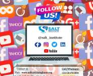 SALT Institute Flyer