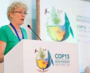 Irene Hoffmann-FAO at COP13