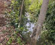 Small-Scale Mining vs. Galamsey: Clearing the Confusion