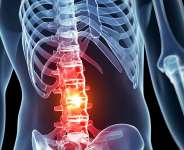 Unlocking Potential: The Rise of Adaptive Sports for Spinal Cord Injury Warriors