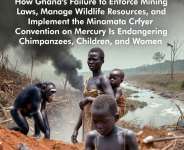 Toxic Gold: Ghana’s Struggle to Uphold Mining Laws and the Minamata Convention Endangers Communities and Wildlife
