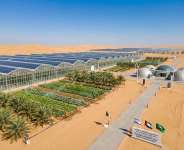 Sustainable Agriculture Models from the Middle East and Their Strategic Expansion into Africa