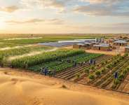 The Strategic Role of Multinational Investment Funds in Advancing Desert Agriculture