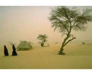 Harmattan