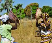The High Street Business Analysis of Ghana’s Inflation Trends