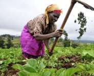 What If Our Farmers Go On Strike?  A Reflection On Farmers Day
