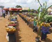 The state of our Agriculture in Ghanas Economy.