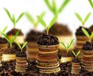 Business Plan of Starting Organic Fertilizer Production Plant