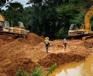 Lead and Heavy Metals Contamination of Food Crops from Illegal Mining