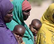 Hyenas ate their bones; The final hours of Ethiopia’s TPLF Regime