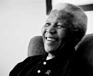 In Memory Of My Mentor, Nelson, The Son Of A Champion!!!